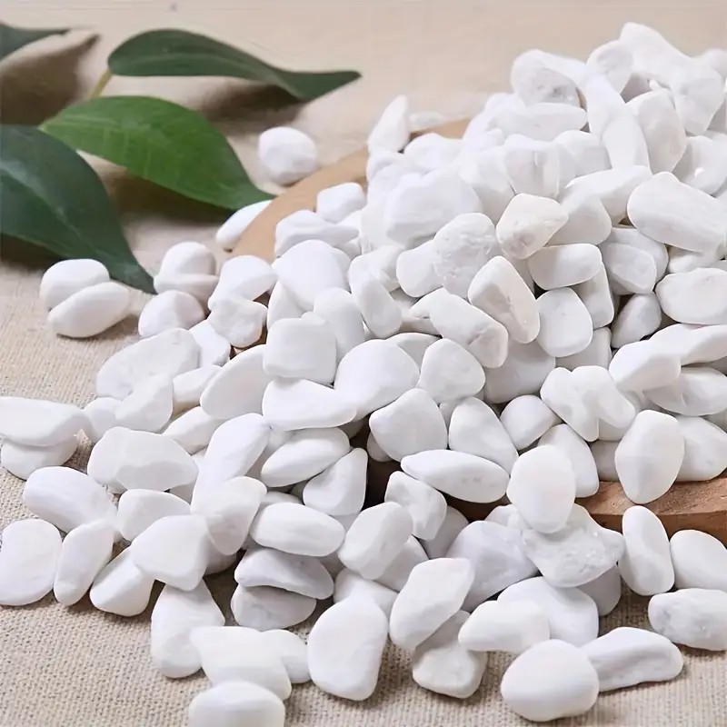 1L High-Quality Perlite Succul - Pet Beds review and price