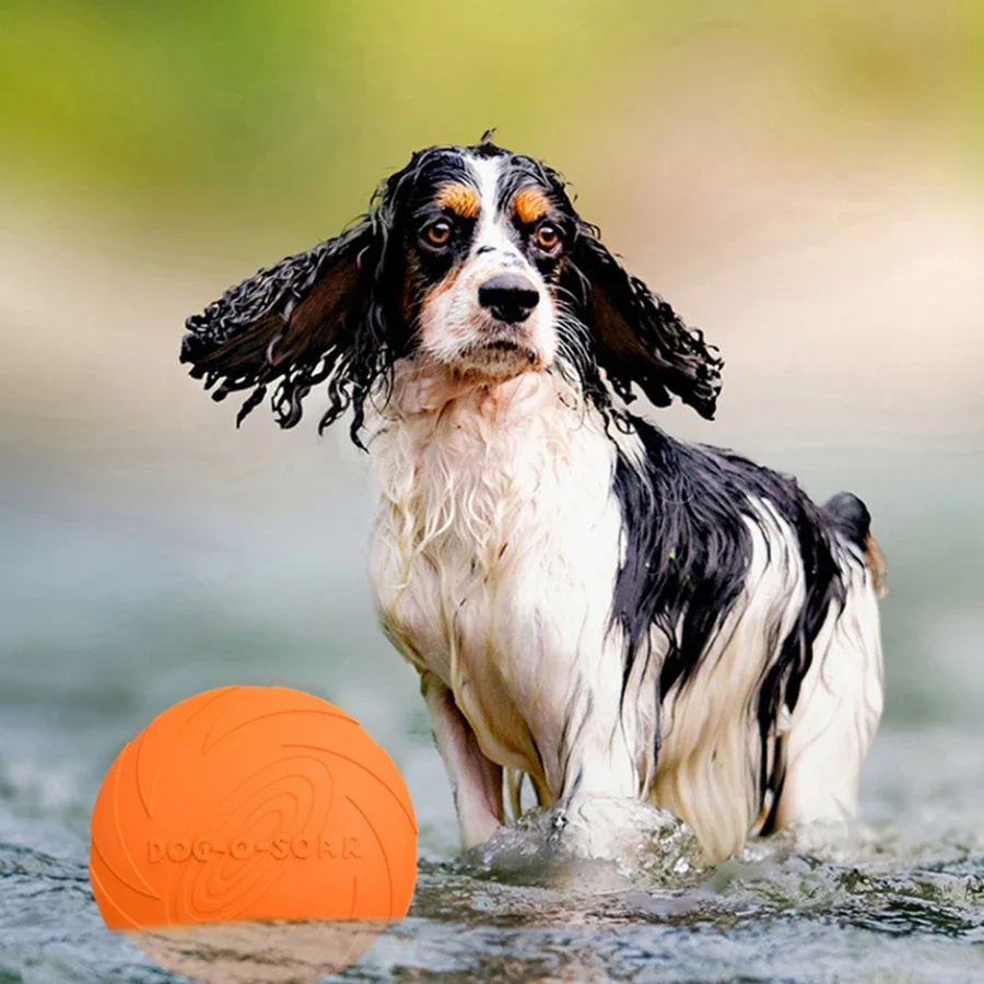 G Large Dog Golden Fur Pet Fly - Flying Disc Dog Training Toy review and price