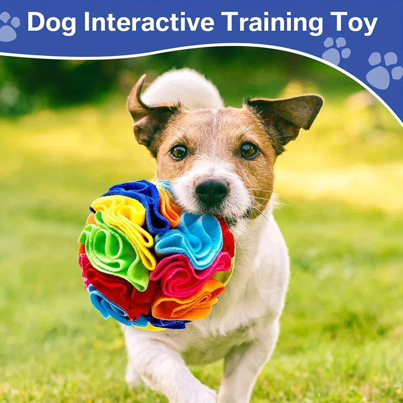 Interactive Dog Toys Snuffle B - Indestructible Dog Chew Toy review and price