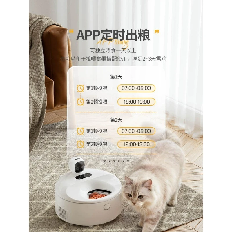 Smart Auto Cat Wet Food Feeder - Pet Feeders review and price